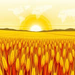 Investindo em Commodities Agrícolas: Grãos e Oportunidades