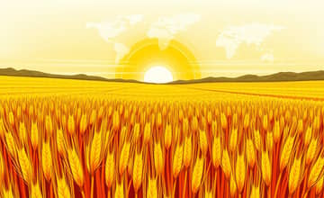 Investindo em Commodities Agrícolas: Grãos e Oportunidades
