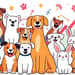 O crescimento do mercado pet e suas oportunidades