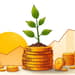 Aproveitando o 'buy and hold': construindo riqueza com paciência