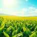 Investimentos em biotecnologia agrícola: novas fronteiras para o agronegócio