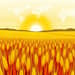 Investindo em Commodities Agrícolas: Grãos e Oportunidades